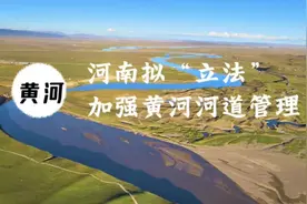 河南黄河河道长711公里，涉及8市28县（区）1312 个自然村庄视频封面