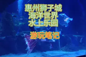 亲子必去游乐园惠州狮子城之海洋世界水上乐园游玩体验视频封面