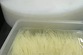 快刀斩乱马.鱼生必备姜丝#横县鱼生 #顺德鱼生 @DOU+小助手 视频封面