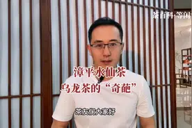 乌龙茶中的“奇葩”，漳平水仙茶，你喝过吗？#茶百科说茶视频封面