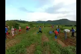 劳动改造大脑