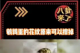 原来鹌鹑蛋上的花纹可以擦掉，今日份的冷知识又增加了