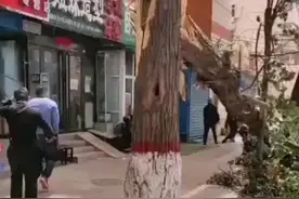 紧急预警！9级阵风！沙尘暴又来了...#黄河电视台 #山西视频封面