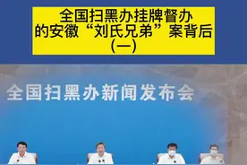 全国扫黑办挂牌督办 的安徽“刘氏兄弟”案背后 （一）视频封面