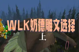 80级奶德雕文如何选择（上）#魔兽世界怀旧服 /巫妖王