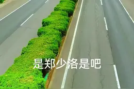 #高速公路  郑少洛高速车流统计 视频封面