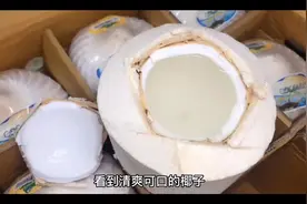 “伤肝果”之椰子#水果 #秋季养生 #椰子#健康#知识分享视频封面