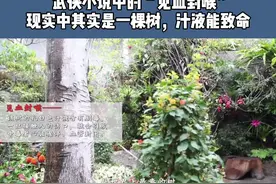 你知道花博园里“最毒”“最老”“最胖”的植物在哪里吗？一起来世纪馆西馆探秘吧！（供稿：崇明区新闻办）视频封面