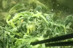 面条菜大家吃过吗#野菜 #蒸菜#地方特色美食 #民间传统美食 #热门视频封面