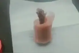 陕西汉中男子吃火腿发现老鼠腿 后续#这很邯郸 #老鼠腿视频封面