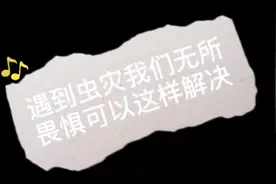 遇到虫灾别怕可以这样解决#新农人计划2021 #无人机视频封面