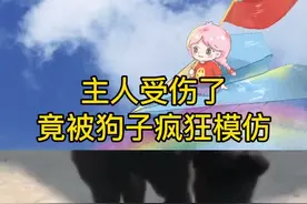 主人受伤了，没想到竟被狗子嘲笑模仿😂  #狗子视频封面