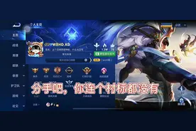 #王者 村标也无？#国服