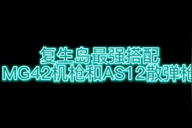 复生岛最强搭配射速极快的机枪MG42和散弹枪最强的AS12近距离无敌
