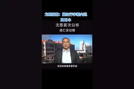 戈恩披露：藏在行李箱内逃离日本#最新消息 #国际 #抖音汽车 视频封面