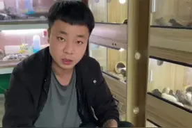 芦丁鸡如何分辨公母，来看看吧#芦丁鸡 #网红鸡 #迷你鸡 #运城芦丁鸡 #运城视频封面