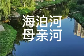 青岛的母亲河#青岛 #山东生活日记 #知识创作人 #母亲河 #水源 视频封面