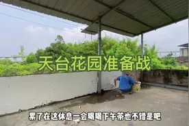 为了在楼顶做个花园，这防水就做了半个月视频封面