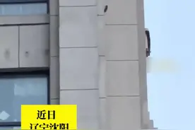 每天5点被吵醒！业主气急欲报警震楼器扰民竟是啄木鸟凿墙视频封面