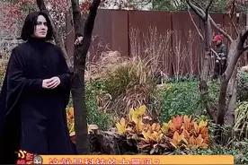 斯内普：走路带风的,只能是我