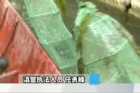 盘龙江违法捕捞猖獗，滇管当场取缔！滇管提醒：盘龙江等入滇河道禁止捕鱼、垂钓，偷捕达一定渔获量将入刑！#渔具 #非法捕捞 视频封面