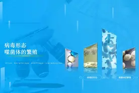 病毒的形态和噬菌体的繁殖视频封面