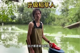 稻草人升级加上我的终极大招应该鸟不敢来了吧#新农村计划2022视频封面