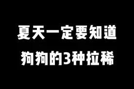 夏天狗狗很容易拉稀，要学会应对哦 @DOU+小助手  #与我合拍   视频封面