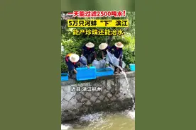 5万只河蚌，一天能过滤2500吨水！#河蚌 ：我只是平平无奇的治水小能手。#杭州 #环境  #河道治理 @抖音短视频视频封面