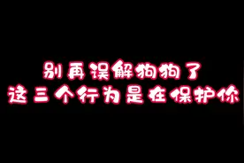 狗狗这三个动作，是在保护你#萌宠出道计划 #狗狗 #萌宠 #宠物视频封面