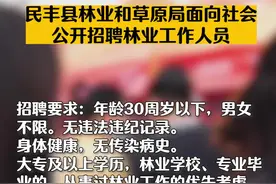 #民丰县#林业和草原局面向社会公开#招聘林业工作人员#就业 