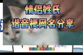 你的网名该换啦，情侣姓氏谐音梗网名推荐，#网名 #谐音梗视频封面