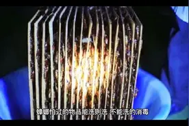 蟑螂爬过的物品怎么消毒？来看看吧#科普 #蟑螂