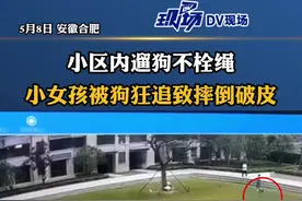 小区内遛狗不栓绳！#小女孩被狗狂追致摔倒破皮 视频发布者：狗主人一直在旁观。事发后立即离开，未能与家长沟通#安徽dou知道 视频封面