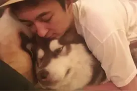 王思聪：一只狗竟然有 200万的粉丝？
#科技 #科普 #名人大咖 视频封面