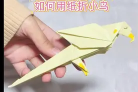 如何用纸折小鸟#用废品制作创意手工 #小学手工制作大全视频封面