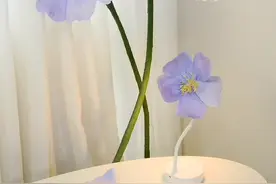 用几张纸做成大型艺术花装饰，简单又漂亮#宅家的治愈感是花花给的 #手工diy #纸艺花视频封面