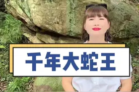 你见过千年的大蛇王吗？#普陀山 #故事 #传说 #全能导游 #旅行大玩家 #结束宅家后去旅行吗 #福建向米莉视频封面