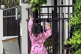 4岁女儿摘泰国邻居家的果子，被我发现后的迷惑反应#人类幼崽成长计划 #小朋友眼中的大世界 #人类幼崽到底有多可爱 #人类幼崽的迷惑行为 #萌娃日常视频封面