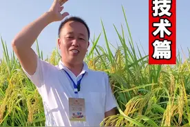 除草打药不上水，水田旱地直播首选配方#三农 #除草剂 #除草 #水稻 视频封面