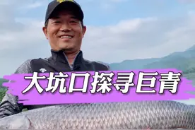 大坑口水库寻巨青。#钓鱼 #金秋垂钓季
