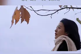 #音乐 #完整版歌曲 #音乐分享 #情感音乐 #一首歌一个故事视频封面