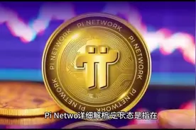 #pi #详细解析 #无不良引导