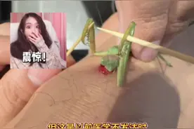 什么是瘊子（疣）？螳螂真的可以吃瘊子吗？ #科普 #瘊子 #疣 #HPV感染#生活小常识
