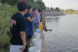 2024年七月十五放生功德回向全法界众生离苦得乐，回往极乐净土