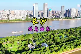 长沙为什么是全国熬夜冠军城市，就因为长沙热啊