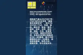 酉阳县气象台发布暴雨黄色预警[Ⅲ级/较重]视频封面