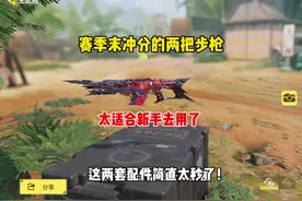 赛季末能让你上分的两把步枪 #使命召唤手游 #codm #我要上热门视频封面