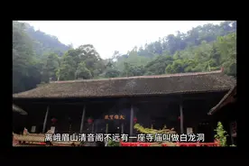 功德林的传说~视频封面