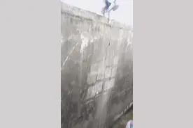 邻居以前砌了墙我没说什么，昨天又加了铁丝网，把我的猫咪给缠伤了，要不要扫了他的网 #户外 #真实户外视频封面